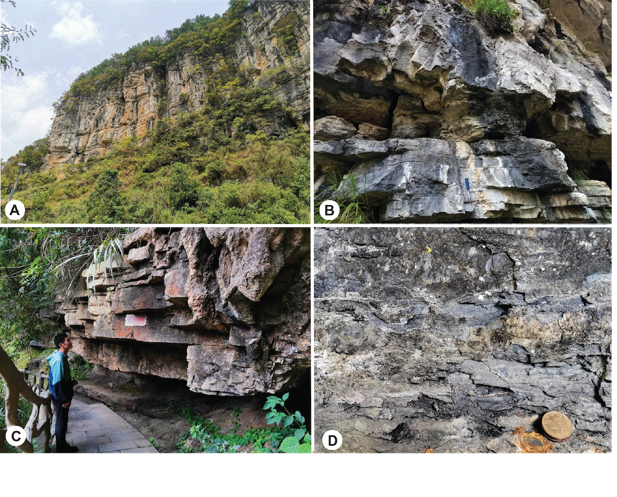 Bafflestone Rocks Lithology Pattern: